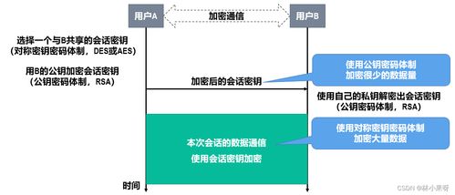 計算機網絡開發(fā)與服務中的網絡安全 守護數字世界的基石